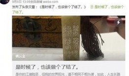 娱乐圈爆料师徒情,师徒情深，恩怨情仇交织